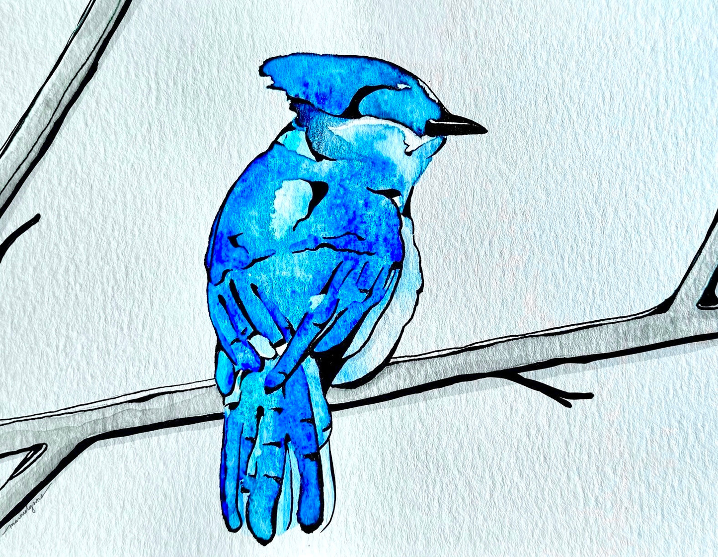 Blue Jay