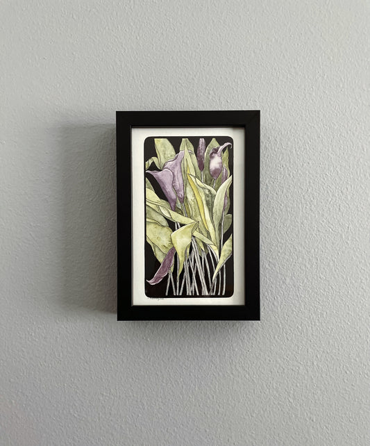Passionate Purple Calla Lilies